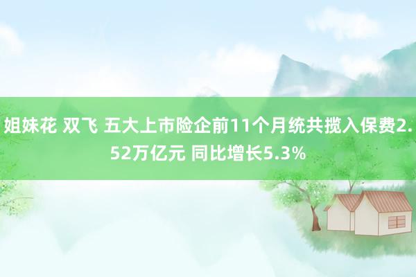 姐妹花 双飞 五大上市险企前11个月统共揽入保费2.52万亿元 同比增长5.3%