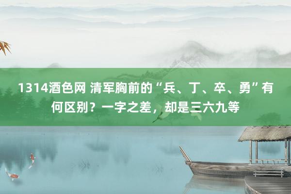 1314酒色网 清军胸前的“兵、丁、卒、勇”有何区别？一字之差，却是三六九等