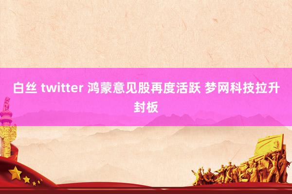 白丝 twitter 鸿蒙意见股再度活跃 梦网科技拉升封板