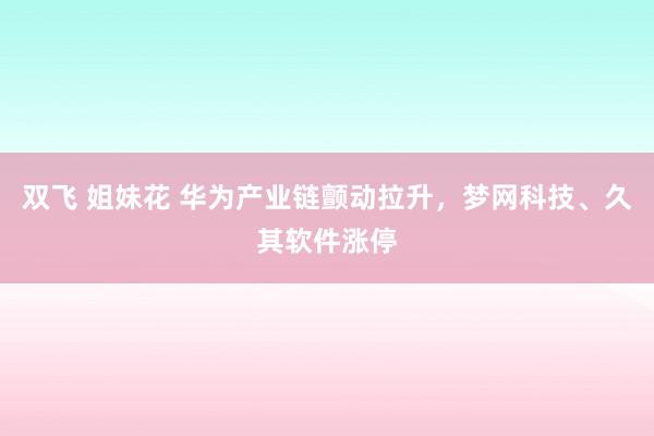 双飞 姐妹花 华为产业链颤动拉升，梦网科技、久其软件涨停