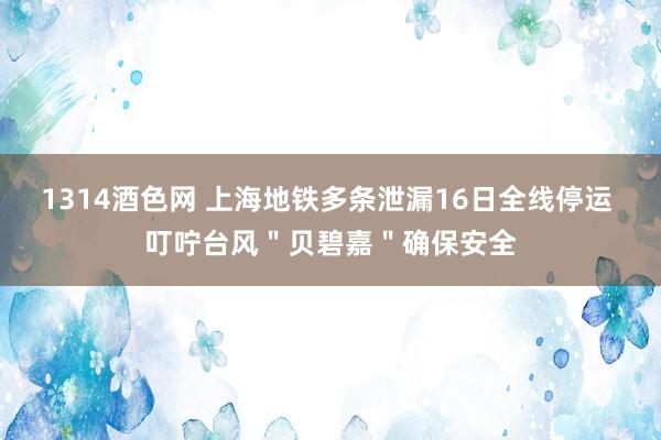 1314酒色网 上海地铁多条泄漏16日全线停运 叮咛台风＂贝碧嘉＂确保安全