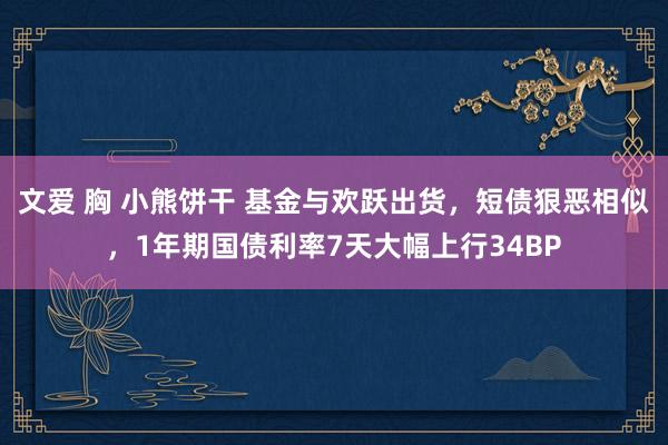 文爱 胸 小熊饼干 基金与欢跃出货，短债狠恶相似，1年期国债利率7天大幅上行34BP