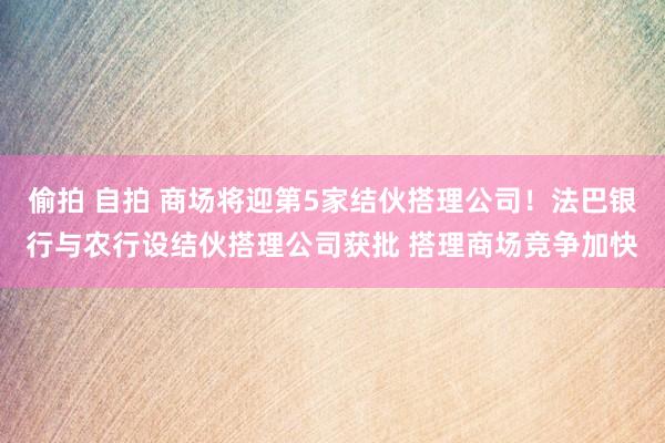 偷拍 自拍 商场将迎第5家结伙搭理公司！法巴银行与农行设结伙搭理公司获批 搭理商场竞争加快