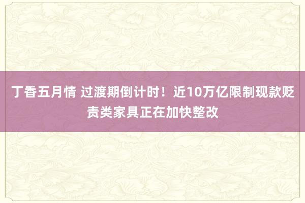 丁香五月情 过渡期倒计时！近10万亿限制现款贬责类家具正在加快整改