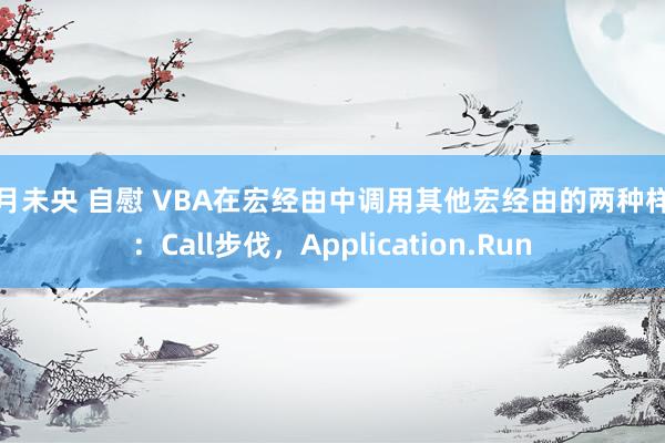 八月未央 自慰 VBA在宏经由中调用其他宏经由的两种样式：Call步伐，Application.Run