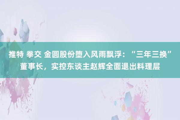 推特 拳交 金圆股份堕入风雨飘浮：“三年三换”董事长，实控东谈主赵辉全面退出料理层