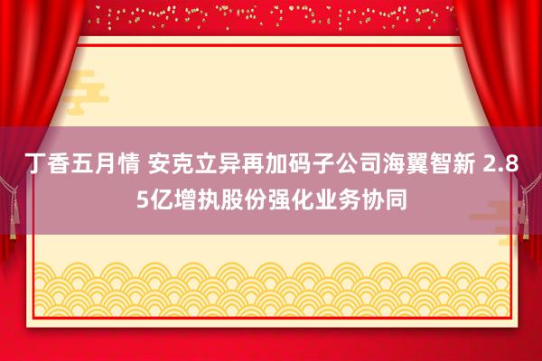 丁香五月情 安克立异再加码子公司海翼智新 2.85亿增执股份强化业务协同