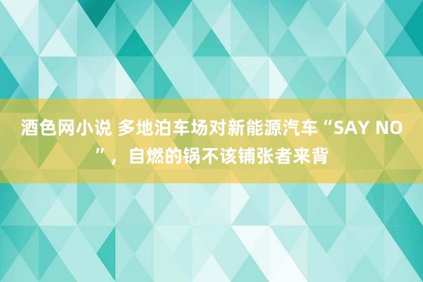 酒色网小说 多地泊车场对新能源汽车“SAY NO”，自燃的锅不该铺张者来背