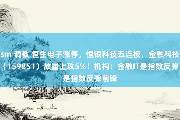 sm 调教 恒生电子涨停，恒银科技五连板，金融科技ETF（159851）放量上攻5%！机构：金融IT是指数反弹前锋