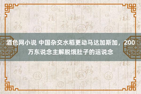 酒色网小说 中国杂交水稻更动马达加斯加，200万东说念主解脱饿肚子的运说念