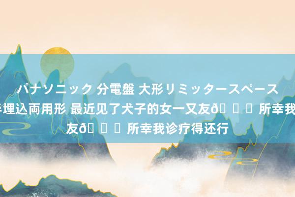 パナソニック 分電盤 大形リミッタースペース付 露出・半埋込両用形 最近见了犬子的女一又友😉所幸我诊疗得还行