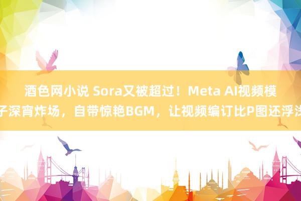 酒色网小说 Sora又被超过！Meta AI视频模子深宵炸场，自带惊艳BGM，让视频编订比P图还浮浅