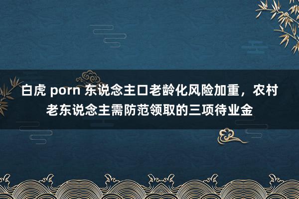 白虎 porn 东说念主口老龄化风险加重，农村老东说念主需防范领取的三项待业金