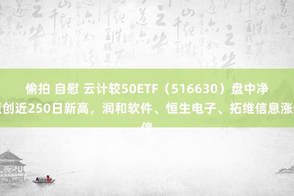 偷拍 自慰 云计较50ETF（516630）盘中净值创近250日新高，润和软件、恒生电子、拓维信息涨停