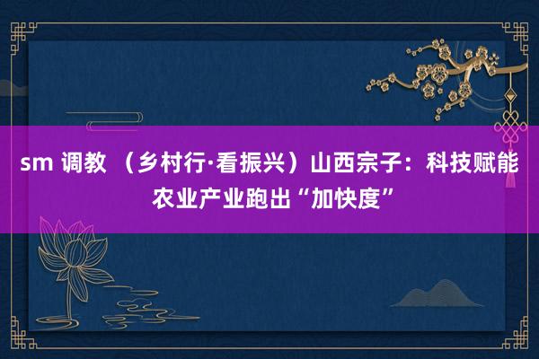 sm 调教 （乡村行·看振兴）山西宗子：科技赋能 农业产业跑出“加快度”