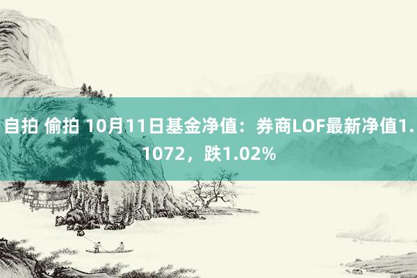 自拍 偷拍 10月11日基金净值：券商LOF最新净值1.1072，跌1.02%