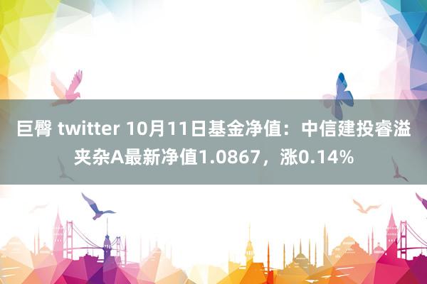 巨臀 twitter 10月11日基金净值：中信建投睿溢夹杂A最新净值1.0867，涨0.14%