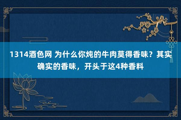 1314酒色网 为什么你炖的牛肉莫得香味？其实确实的香味，开头于这4种香料