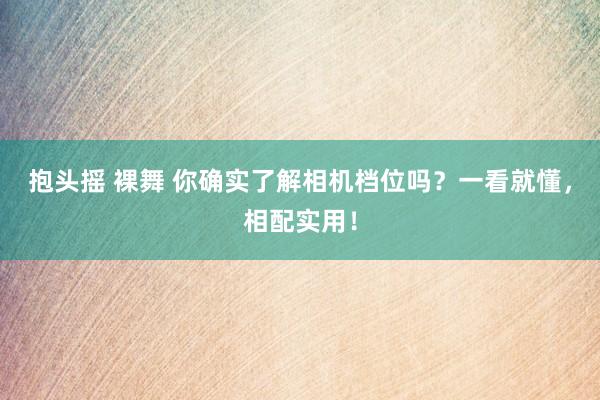 抱头摇 裸舞 你确实了解相机档位吗？一看就懂，相配实用！