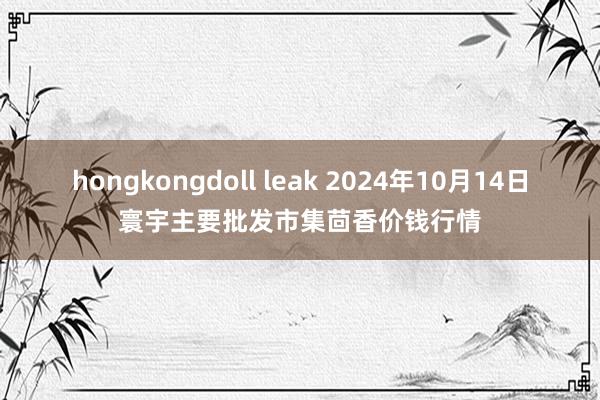 hongkongdoll leak 2024年10月14日寰宇主要批发市集茴香价钱行情