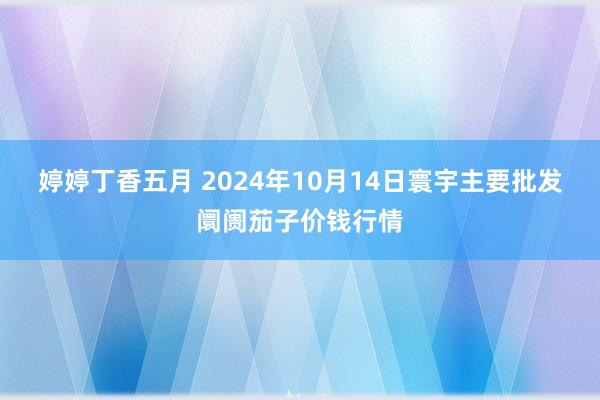 婷婷丁香五月 2024年10月14日寰宇主要批发阛阓茄子价钱行情