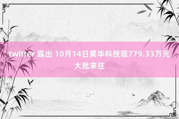 twitter 露出 10月14日昊华科技现779.33万元大批来往