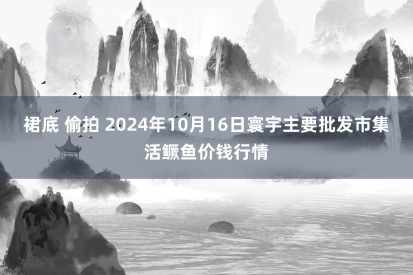 裙底 偷拍 2024年10月16日寰宇主要批发市集活鳜鱼价钱行情