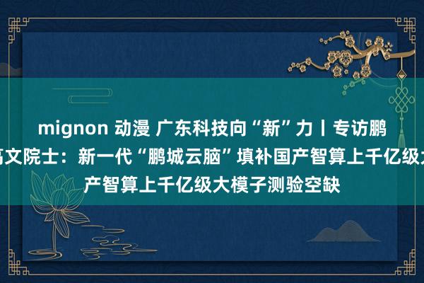 mignon 动漫 广东科技向“新”力丨专访鹏城试验室主任高文院士：新一代“鹏城云脑”填补国产智算上千亿级大模子测验空缺