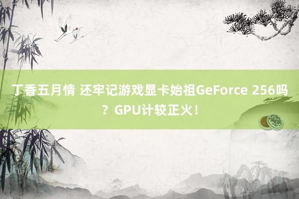 丁香五月情 还牢记游戏显卡始祖GeForce 256吗？GPU计较正火！