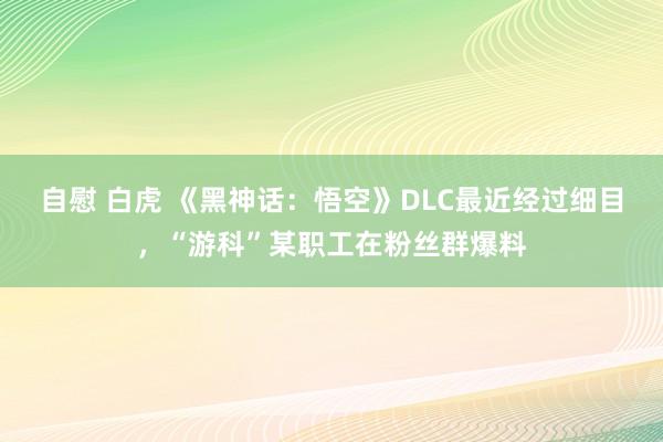 自慰 白虎 《黑神话：悟空》DLC最近经过细目，“游科”某职工在粉丝群爆料