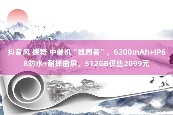 抖音风 裸舞 中端机“搅局者”，6200mAh+IP68防水+耐摔曲屏，512GB仅售2099元