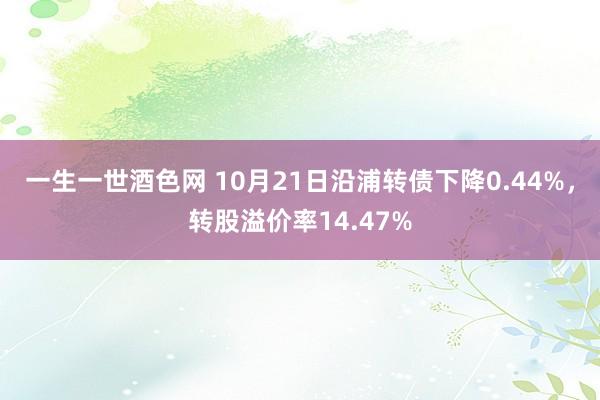 一生一世酒色网 10月21日沿浦转债下降0.44%，转股溢价率14.47%