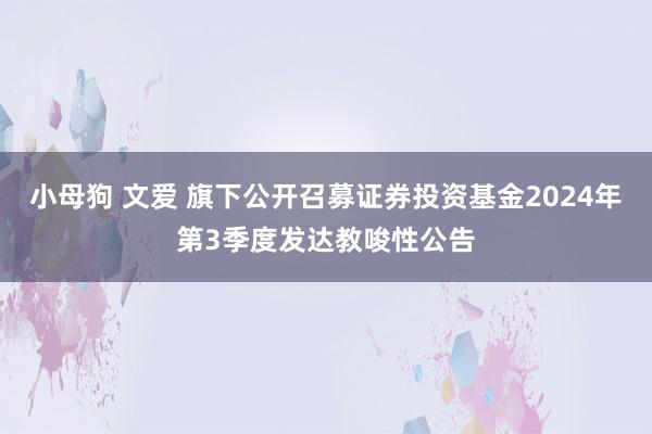 小母狗 文爱 旗下公开召募证券投资基金2024年第3季度发达教唆性公告