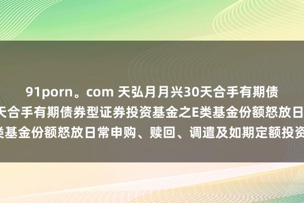 91porn。com 天弘月月兴30天合手有期债券E: 对于天弘月月兴30天合手有期债券型证券投资基金之E类基金份额怒放日常申购、赎回、调遣及如期定额投资业务的公告