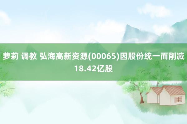 萝莉 调教 弘海高新资源(00065)因股份统一而削减18.42亿股