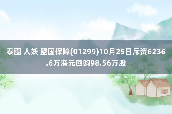 泰國 人妖 盟国保障(01299)10月25日斥资6236.6万港元回购98.56万股