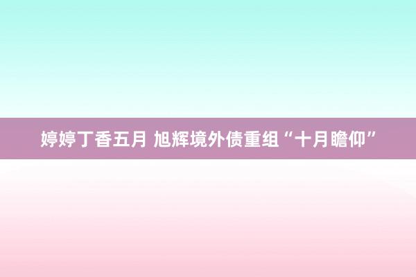 婷婷丁香五月 旭辉境外债重组“十月瞻仰”