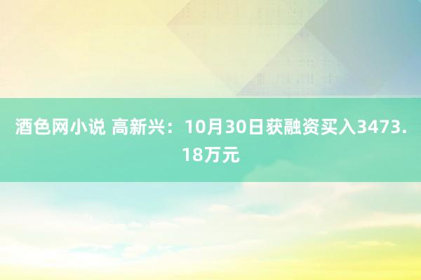 酒色网小说 高新兴：10月30日获融资买入3473.18万元