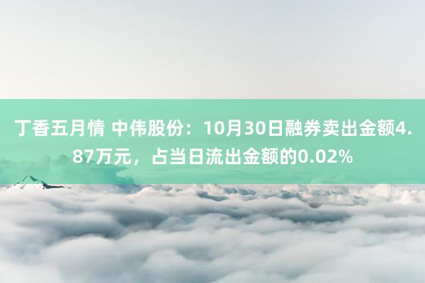 丁香五月情 中伟股份：10月30日融券卖出金额4.87万元，占当日流出金额的0.02%