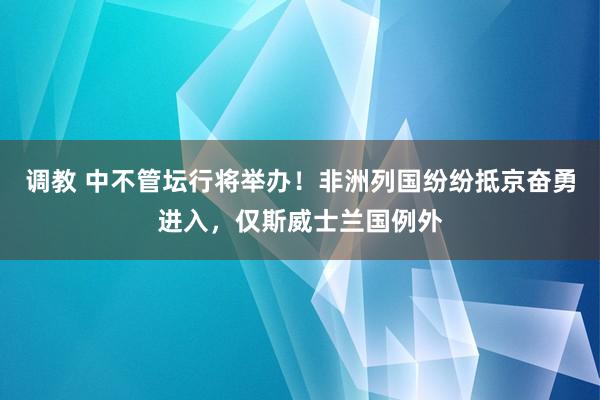 调教 中不管坛行将举办！非洲列国纷纷抵京奋勇进入，仅斯威士兰国例外