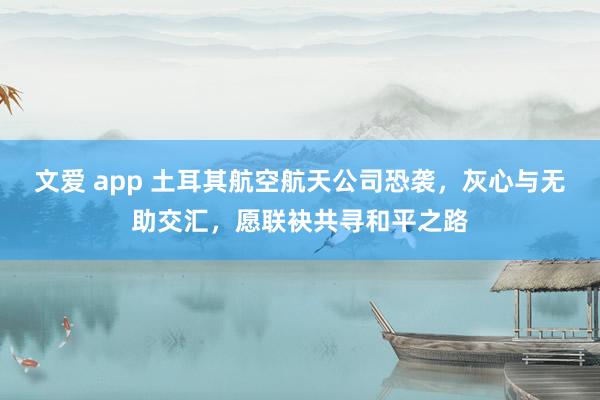 文爱 app 土耳其航空航天公司恐袭，灰心与无助交汇，愿联袂共寻和平之路