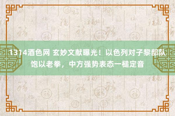 1314酒色网 玄妙文献曝光！以色列对子黎部队饱以老拳，中方强势表态一槌定音