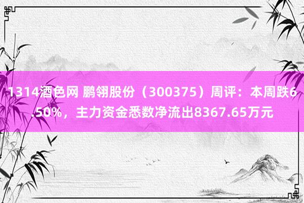 1314酒色网 鹏翎股份（300375）周评：本周跌6.50%，主力资金悉数净流出8367.65万元