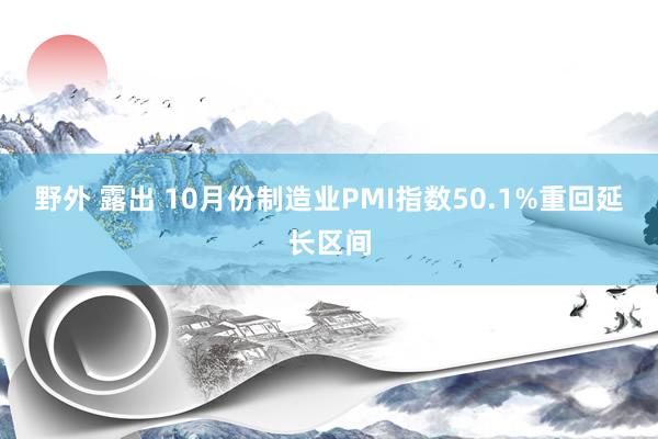 野外 露出 10月份制造业PMI指数50.1%重回延长区间