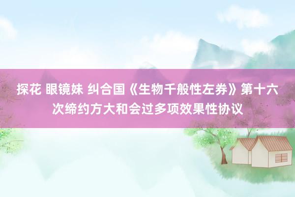 探花 眼镜妹 纠合国《生物千般性左券》第十六次缔约方大和会过多项效果性协议