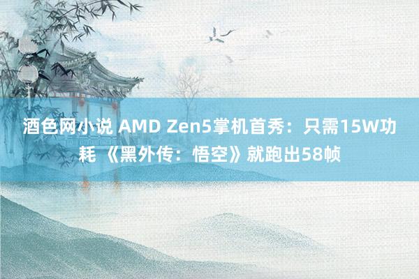 酒色网小说 AMD Zen5掌机首秀：只需15W功耗 《黑外传：悟空》就跑出58帧