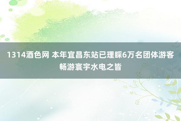 1314酒色网 本年宜昌东站已理睬6万名团体游客畅游寰宇水电之皆