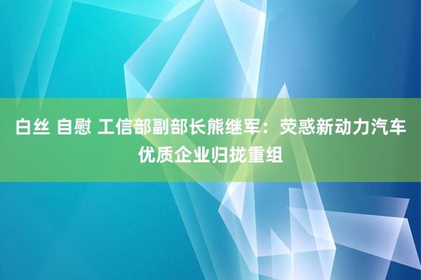 白丝 自慰 工信部副部长熊继军：荧惑新动力汽车优质企业归拢重组