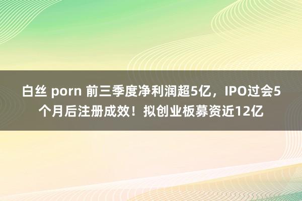 白丝 porn 前三季度净利润超5亿，IPO过会5个月后注册成效！拟创业板募资近12亿