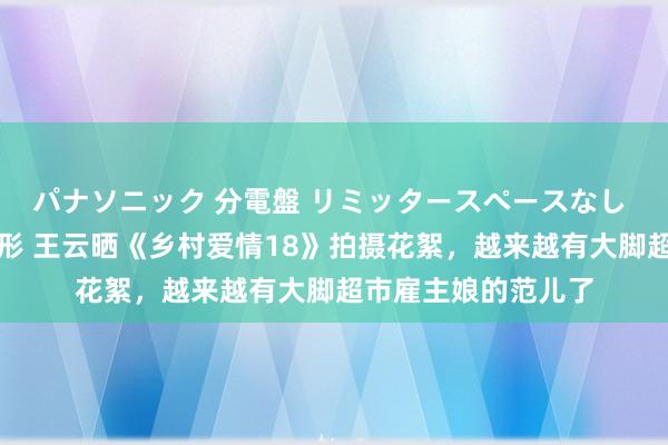 パナソニック 分電盤 リミッタースペースなし 露出・半埋込両用形 王云晒《乡村爱情18》拍摄花絮，越来越有大脚超市雇主娘的范儿了